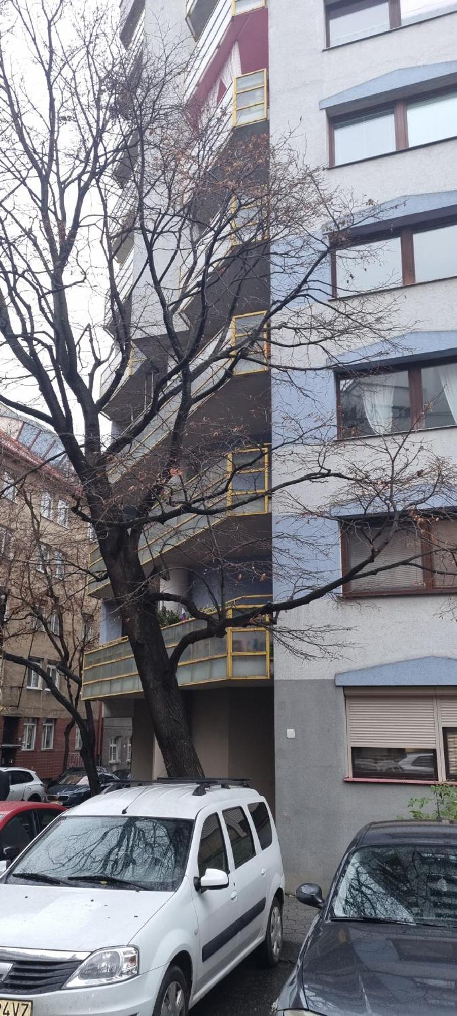 Huge Apartment Next To Train Station Close To The City Center Pressburg Exterior foto